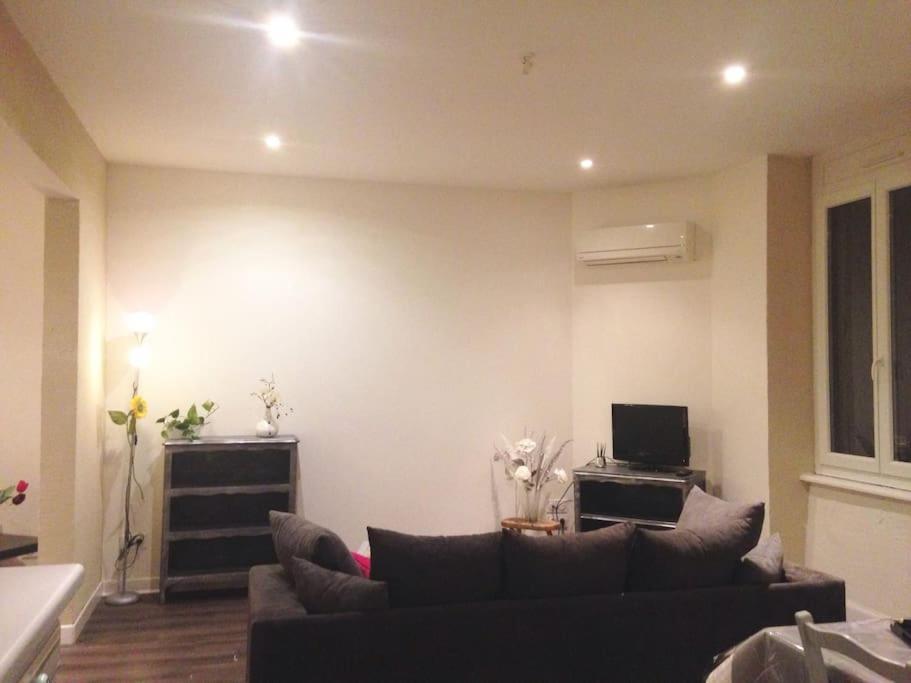 Appartement Au Calme Rodez Kültér fotó