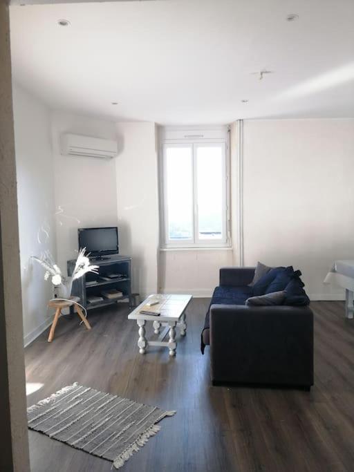 Appartement Au Calme Rodez Kültér fotó